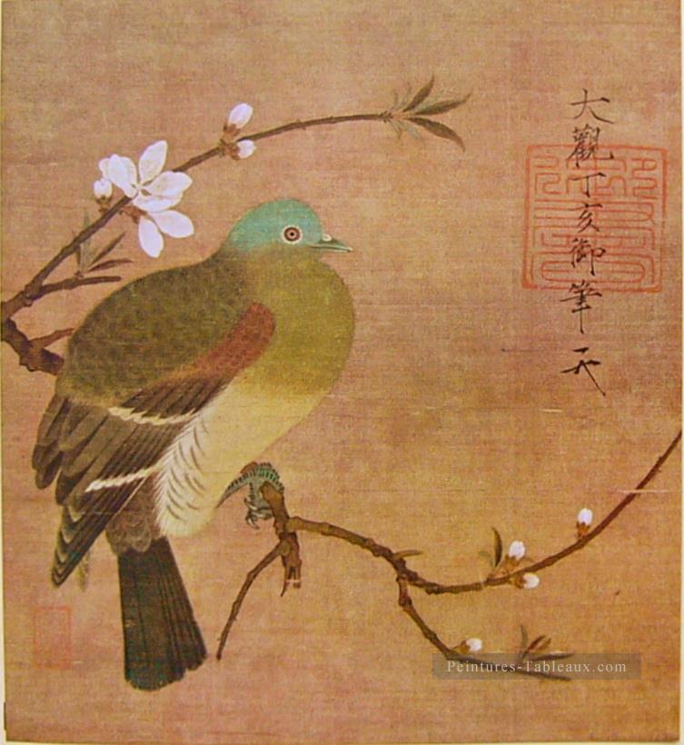 Pigeon sur une branche de pêche 1108 vieille encre de Chine Peintures à l'huile